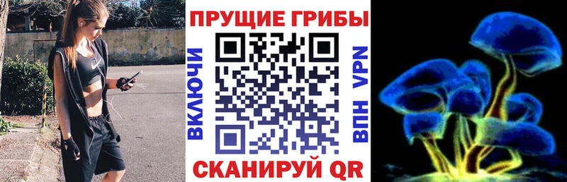 сколько стоит  гидра ссылки  Псилоцибиновые грибы мицелий  Саки 