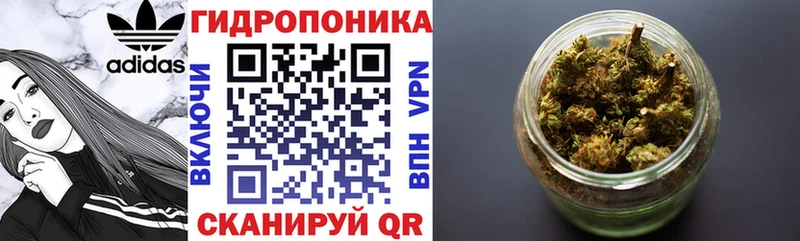 Шишки марихуана OG Kush  где продают   Саки 